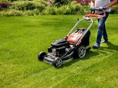 gardenmaintenanceimage1